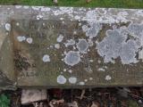 image of grave number 171454